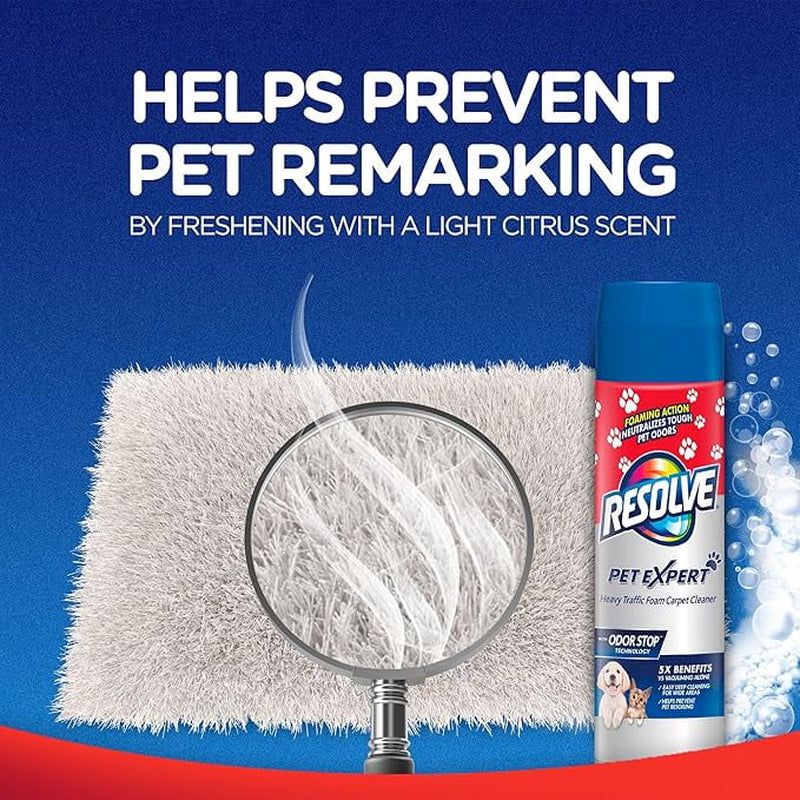 Pet High Traffic Carpet Stain Cleaner Solution and Odor Remover Foam, 22Oz