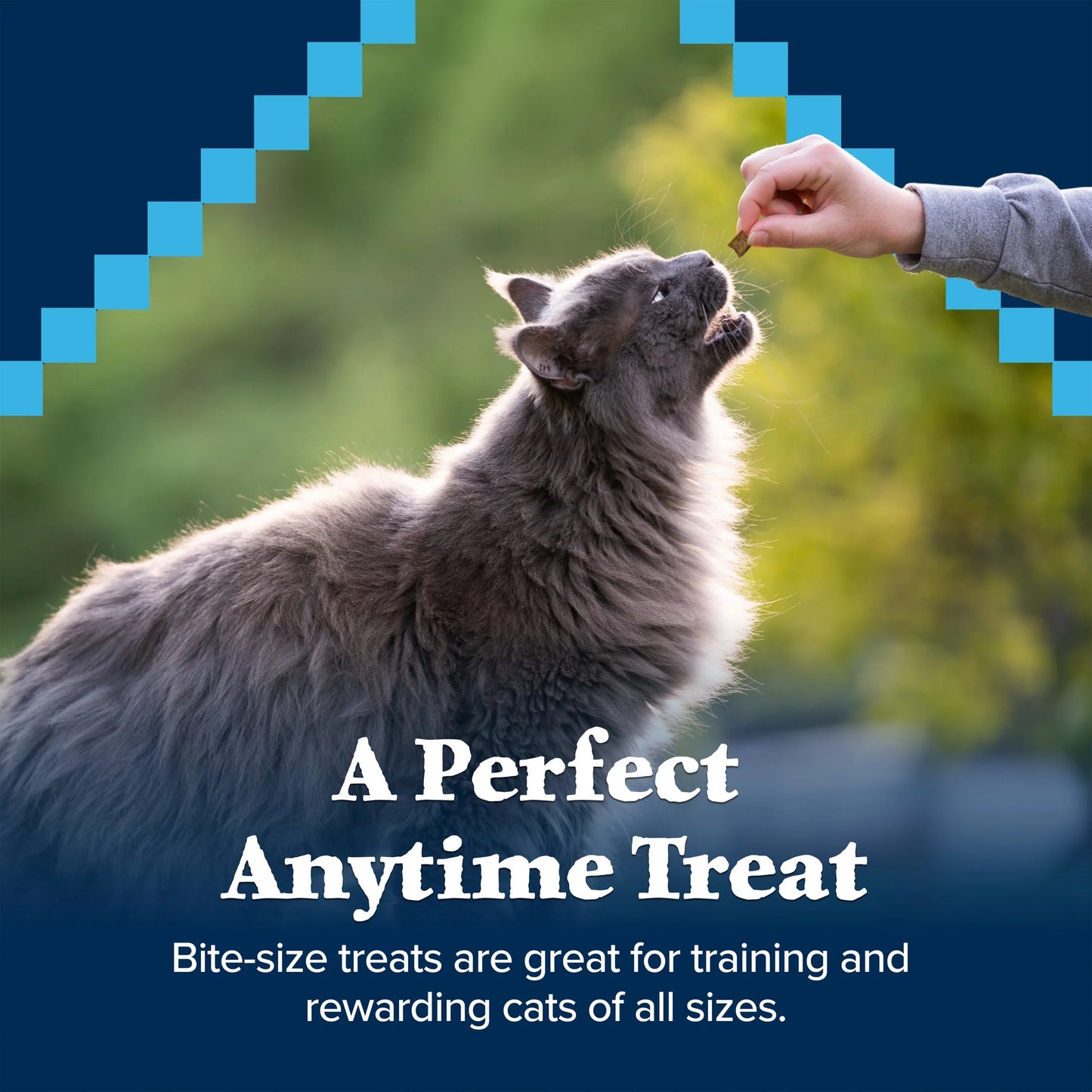 Wilderness Soft Cat Treats, Chicken & Trout Recipe, 2-Oz. Bag
