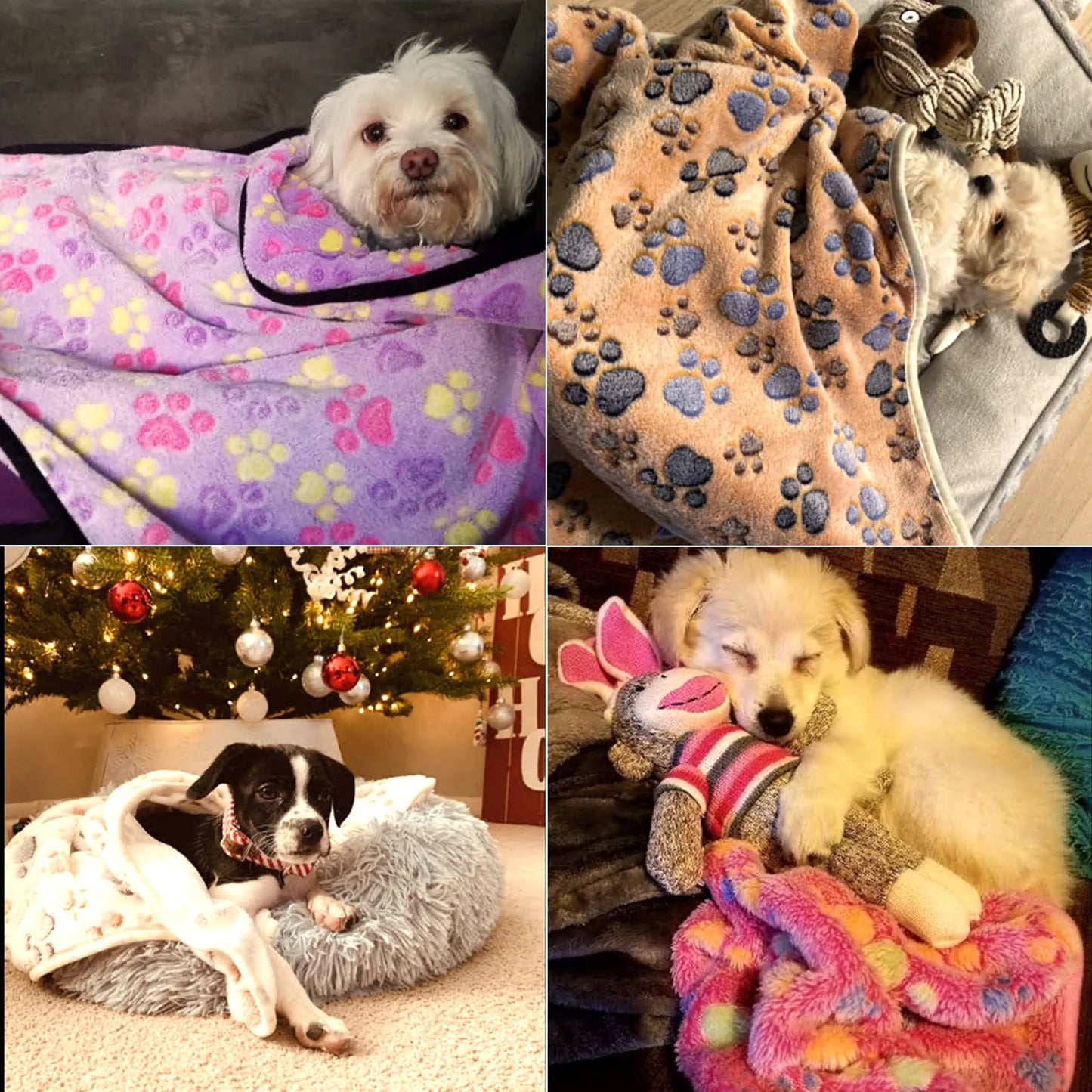 Luxmo 3 Pack Cat Dog Puppy Blanket Soft Pet Bed Cushion Warm Sleep Mat for Kitten Puppy Rabbit