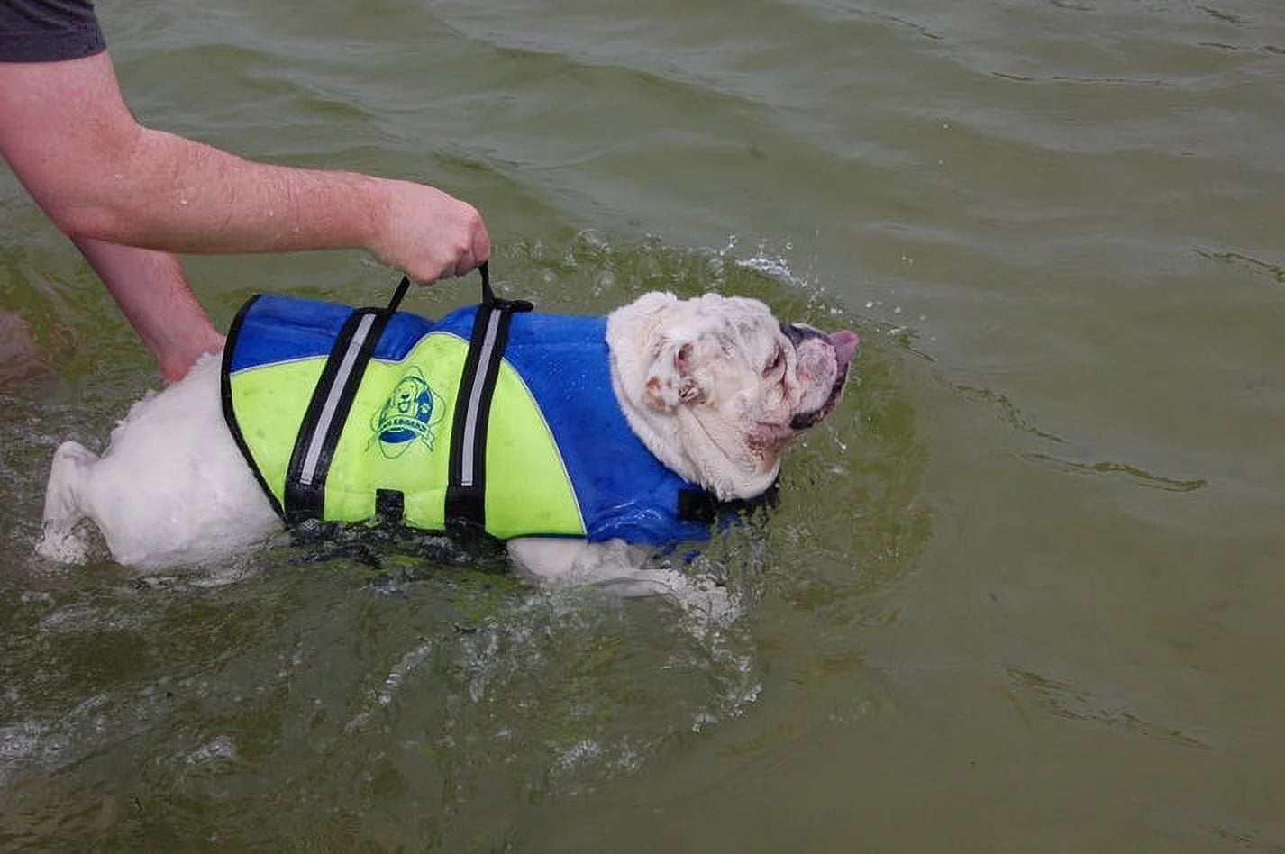 Dog Life Jacket - Keep Your Canine Safe with a Neoprene Life Vest - Designer Life Jackets - Perfect for Swimming and Boating - Blue and Yellow, Small