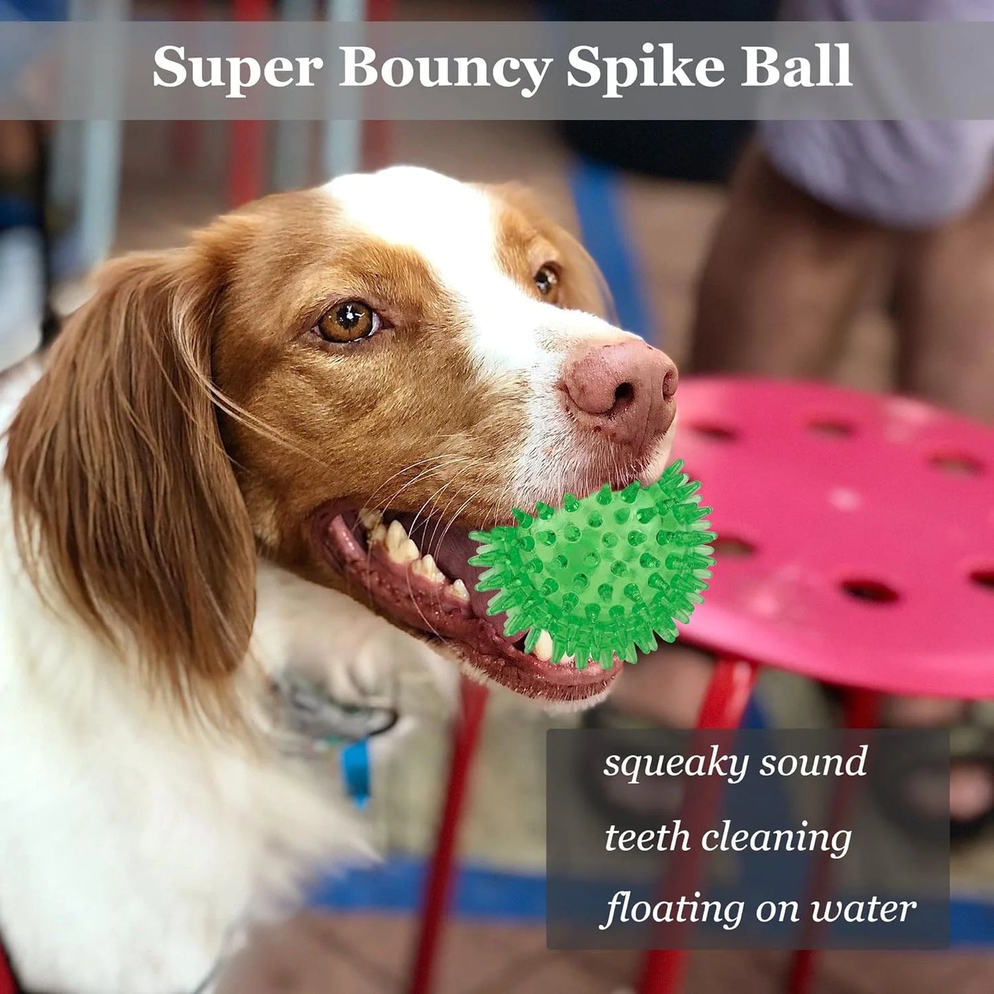 6-Piece Squeaky & Chewable Balls for Small Dogs with Built-In Squeaker
