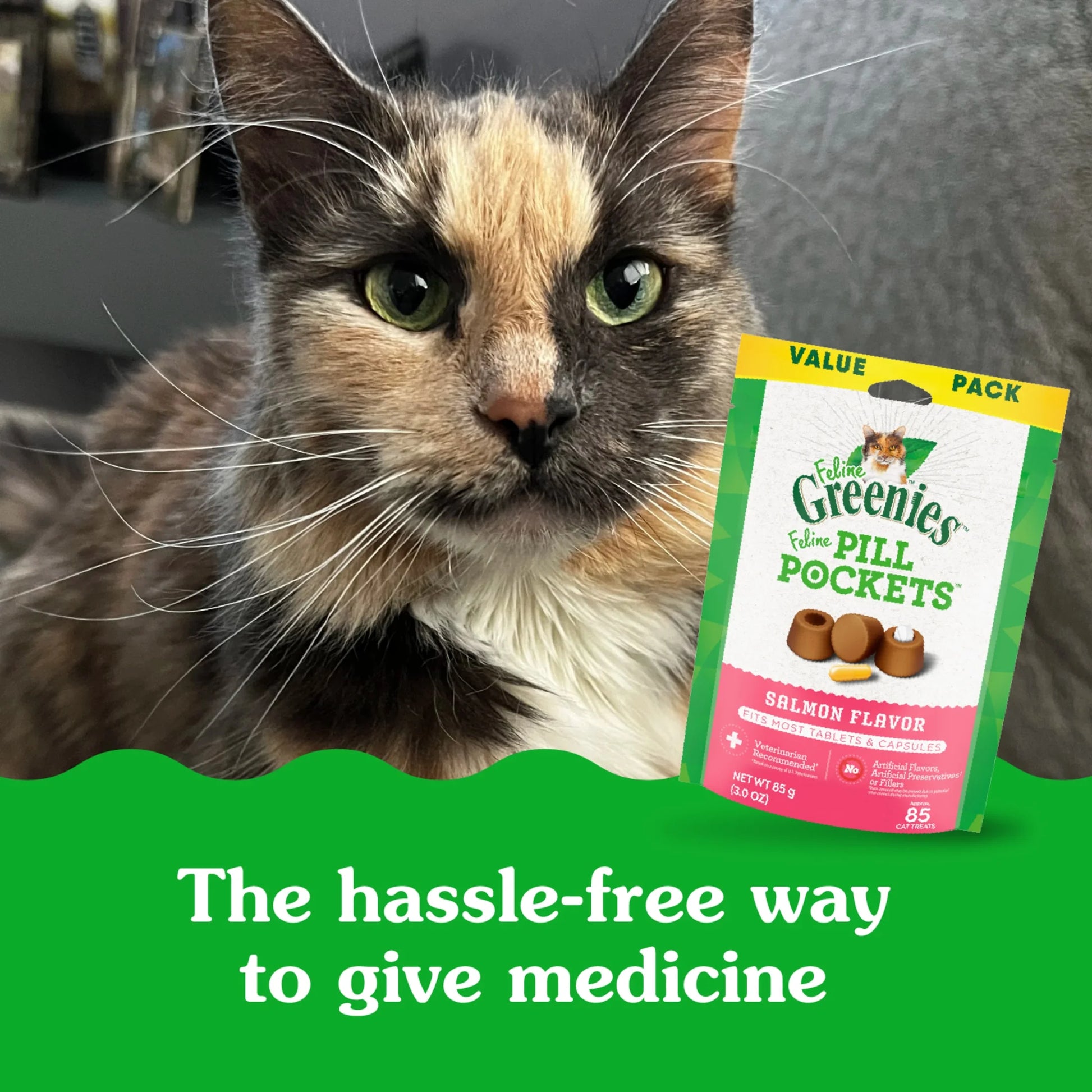 Feline  Pill Pockets Natural Cat Treats, Salmon Flavor, 1.6 Oz. Pack (45 Treats)