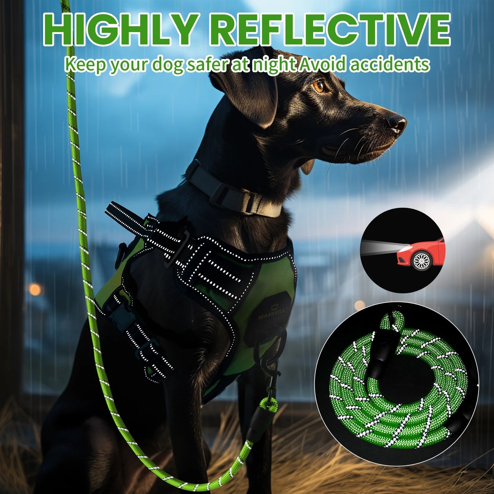 Dog Harness and Leash Set, No Pull Vest Harness, Reflective Adjustable Soft Padded Pet Harness with Handle for Small to Large Dogs