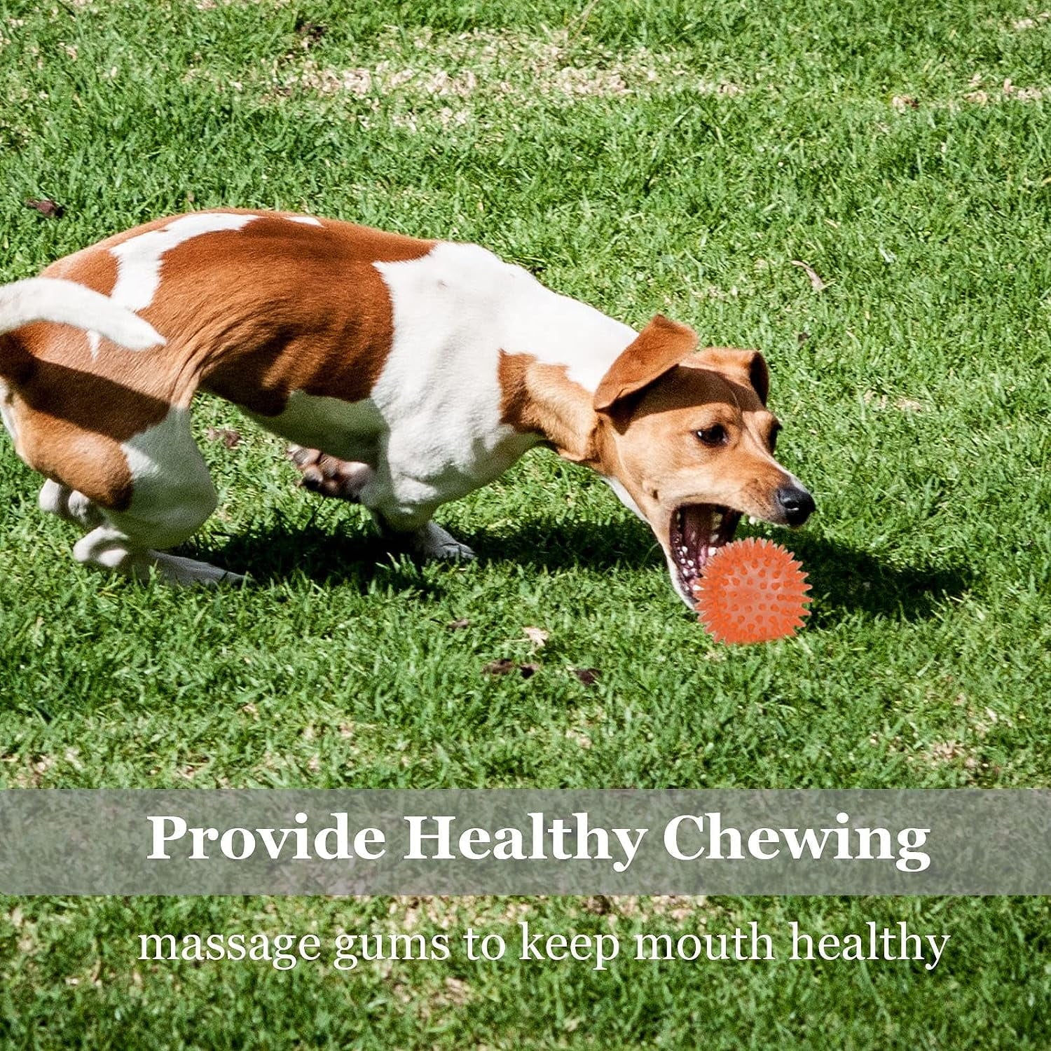 6-Piece Squeaky & Chewable Balls for Small Dogs with Built-In Squeaker