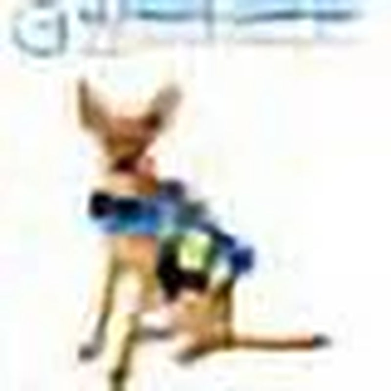 Dog Life Jacket - Keep Your Canine Safe with a Neoprene Life Vest - Designer Life Jackets - Perfect for Swimming and Boating - Blue and Yellow, Small