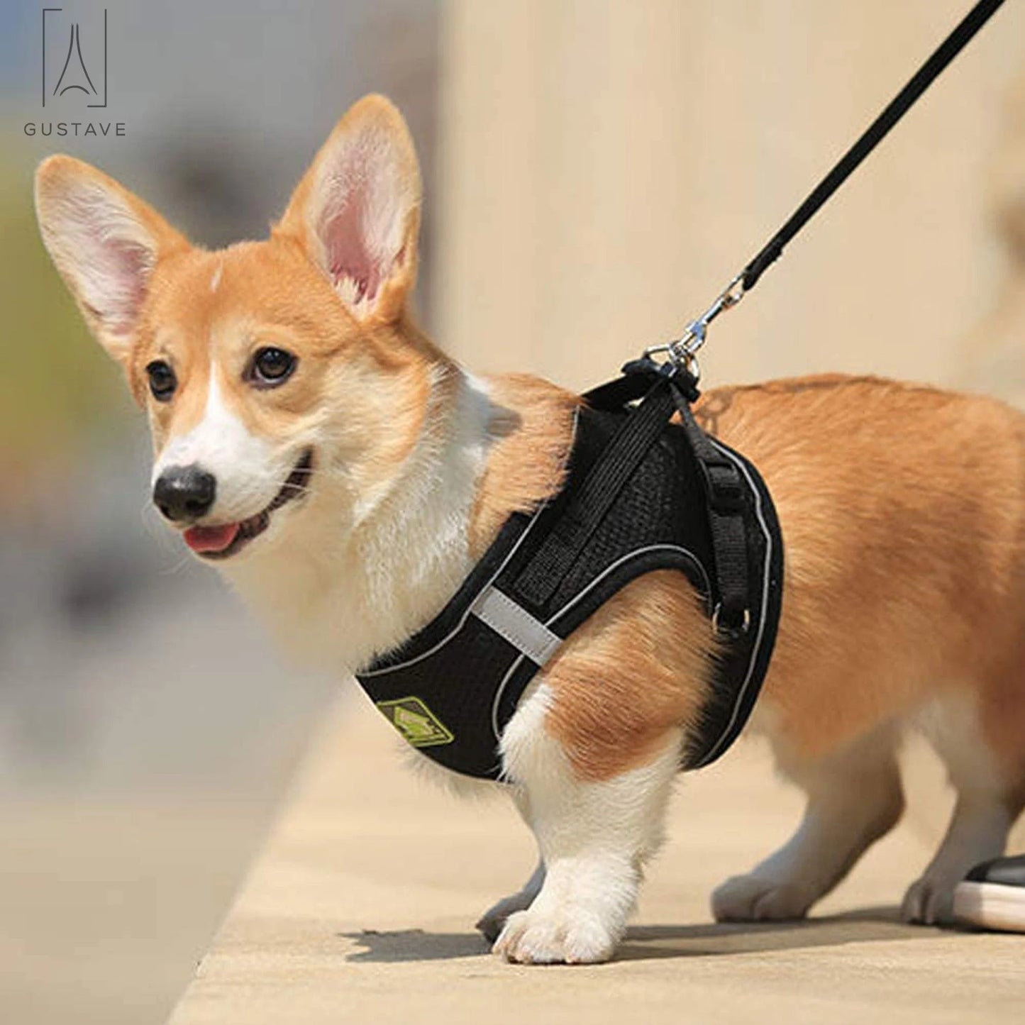 Soft Mesh Pet Dog Harness and Leash Set, No-Pull Pet Harness Adjustable Reflective Breathable Mesh for Small Medium Dogs and Cats (Black, Size S)