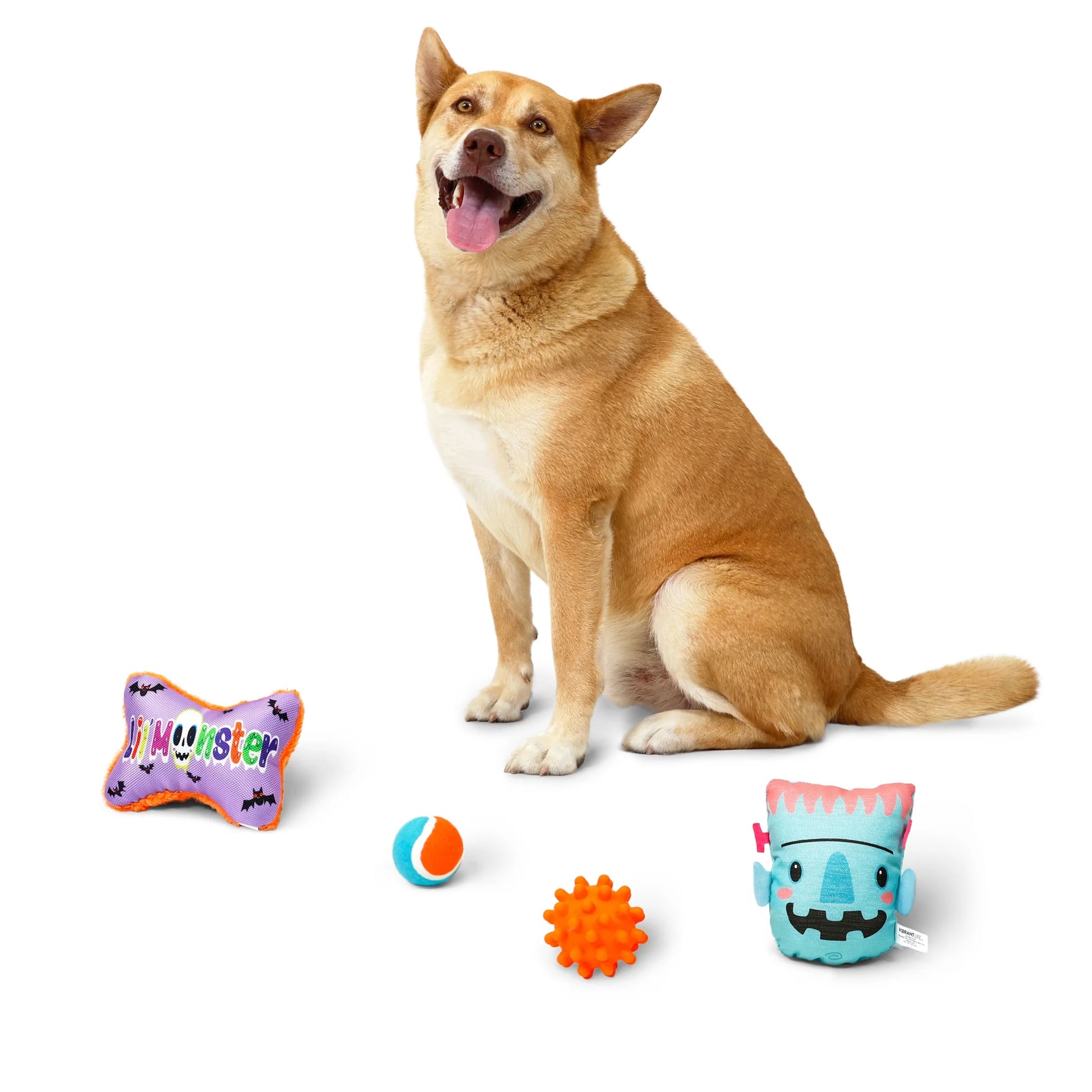 Halloween Dog Toys, 4 Piece Multipack, Teal Plush Frankenstein, Purple Squeaky Bone, Multicolored Tennis Ball, Orange Spiky Ball