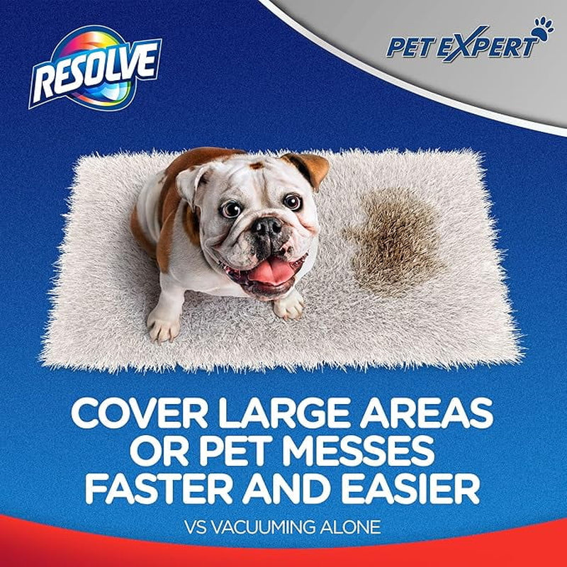 Pet High Traffic Carpet Stain Cleaner Solution and Odor Remover Foam, 22Oz