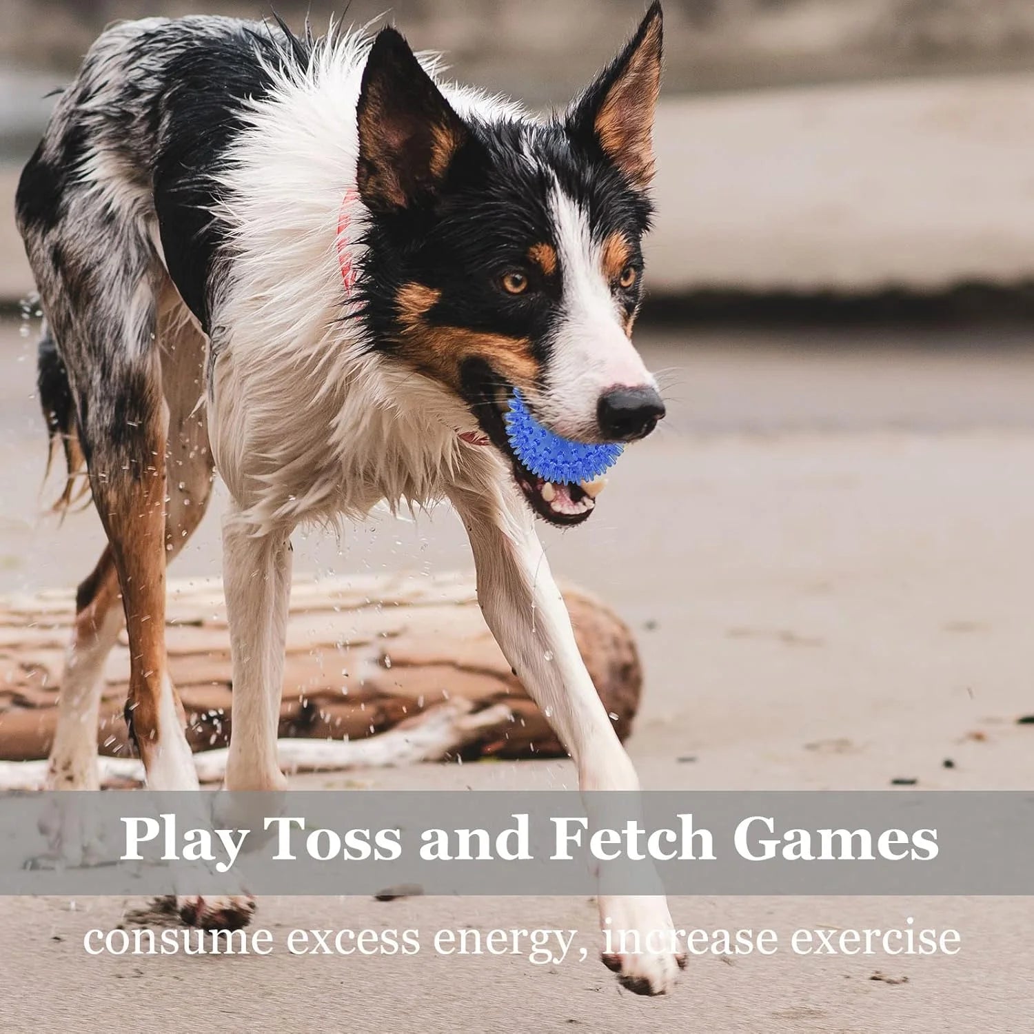 6-Piece Squeaky & Chewable Balls for Small Dogs with Built-In Squeaker