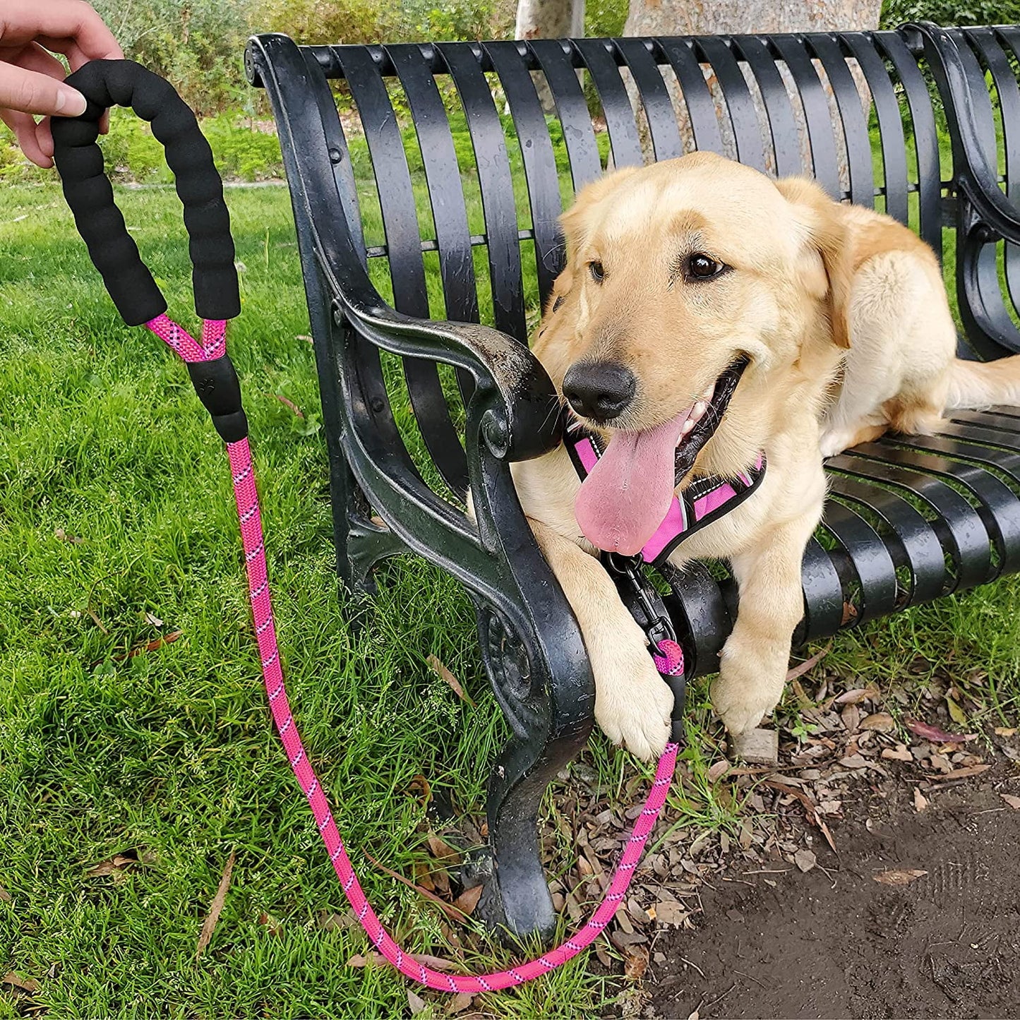 Reflective Strong Rope Dog Leash with Comfortable Padded Handle Heavy Duty Metal Clasp for Dogs for Pets (5 FT)PINK