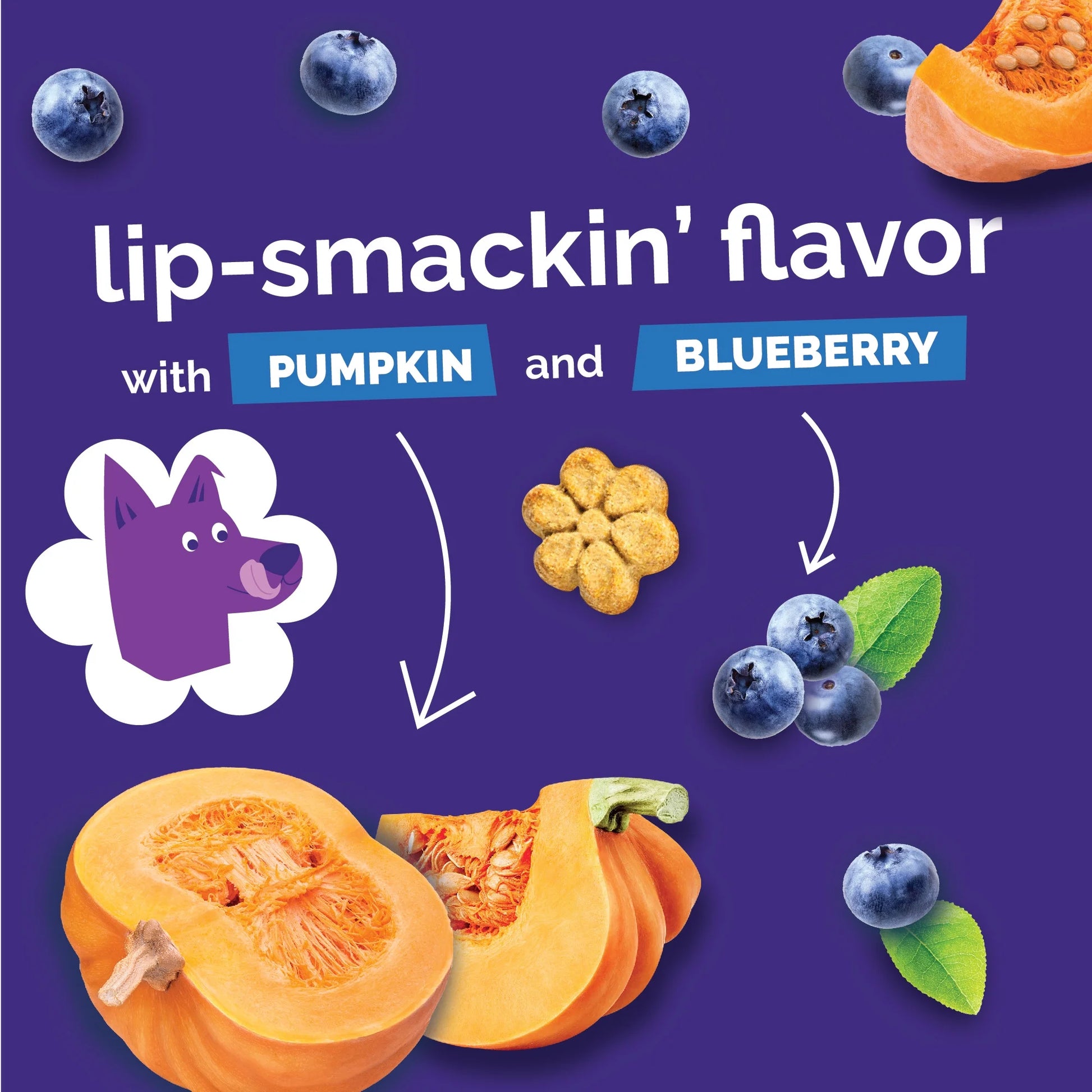 Crunchy Baked Dog Treats, Pumpkin & Blueberry Flavor, 7 Oz Bag