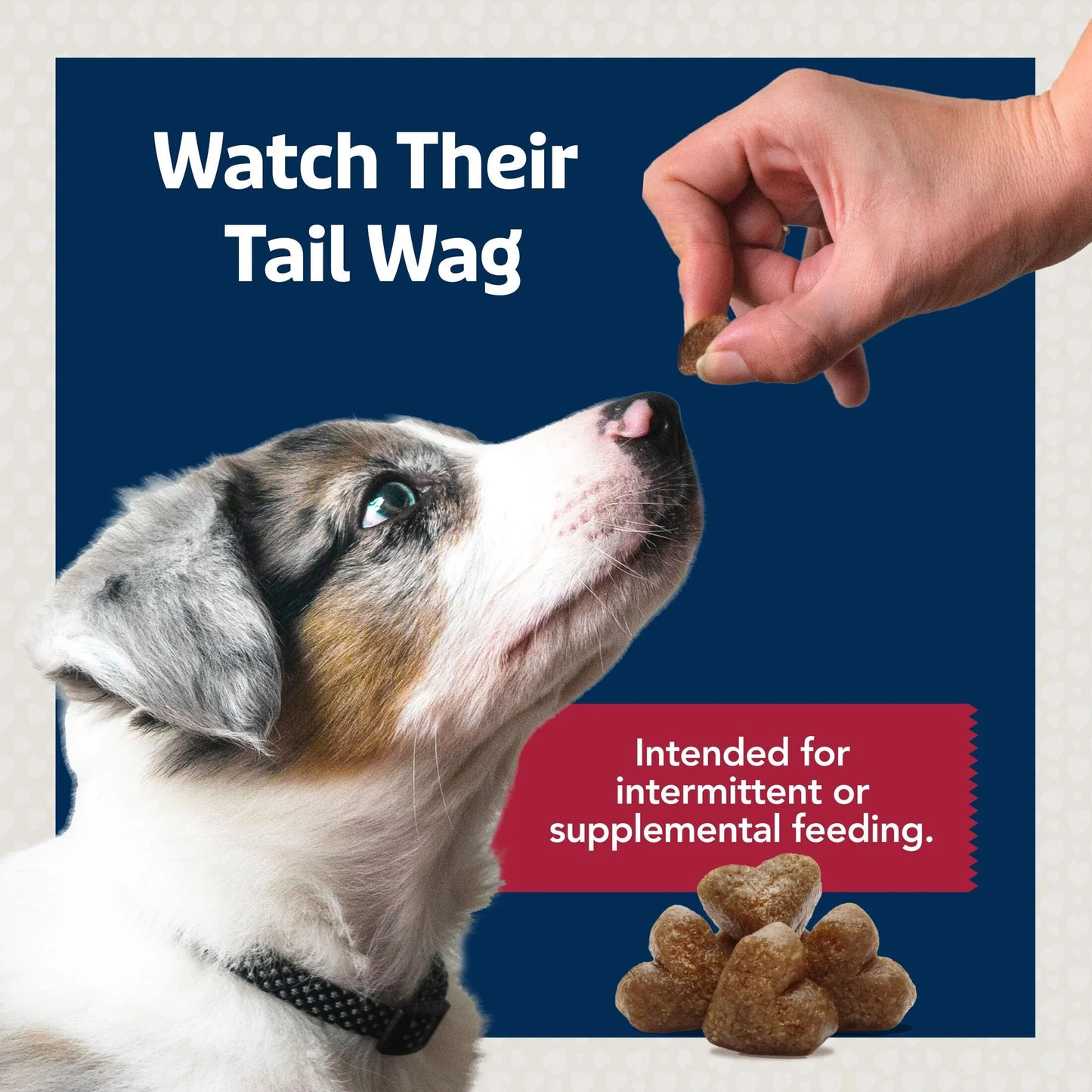 Bits Natural Soft Moist to Go Dog Training Treats Beef Recipe Bags