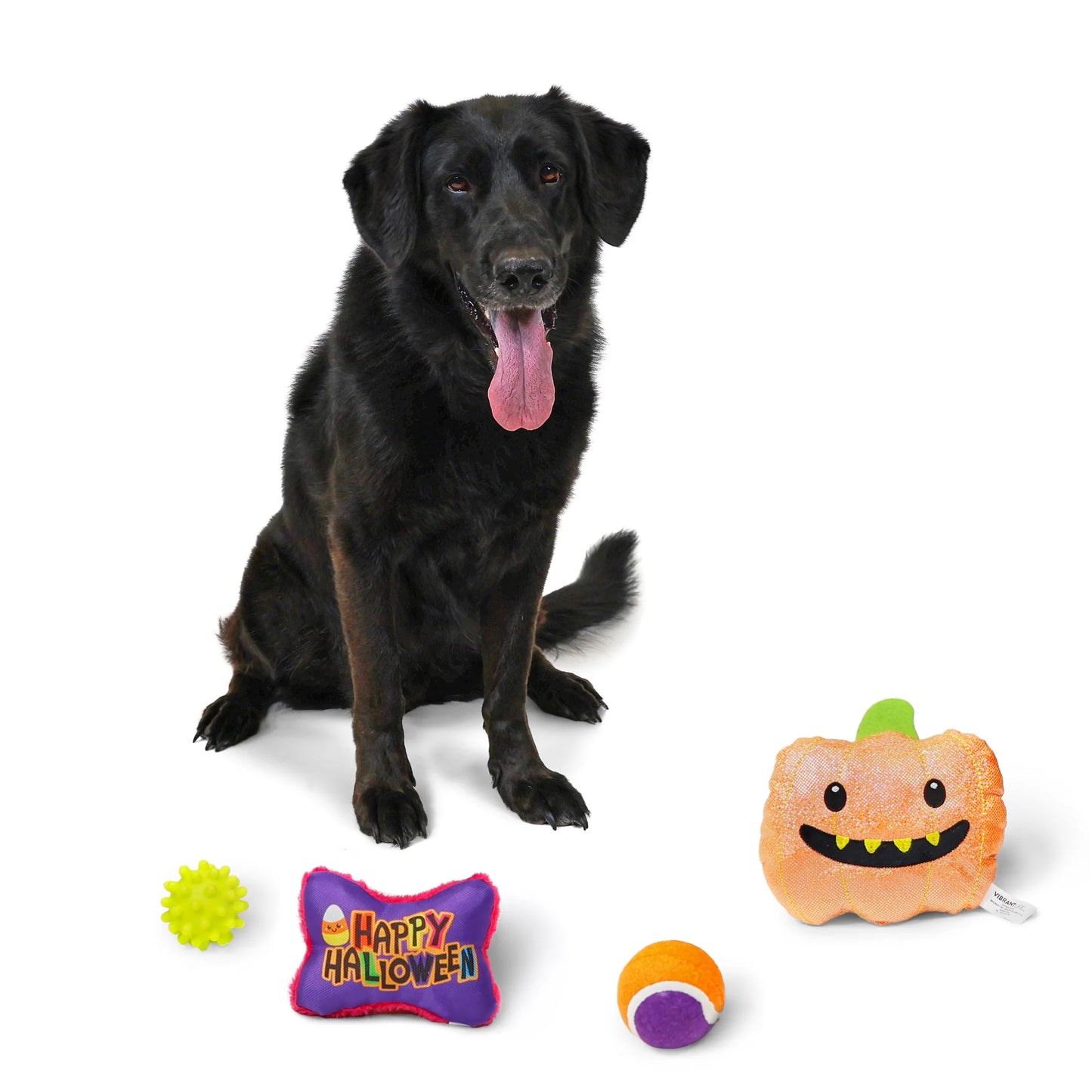 Halloween Dog Toys, 4 Piece Multipack, Orange Plush Pumpkin, Purple Squeaky Bone, Multicolored Tennis Ball, Yellow Spiky Ball