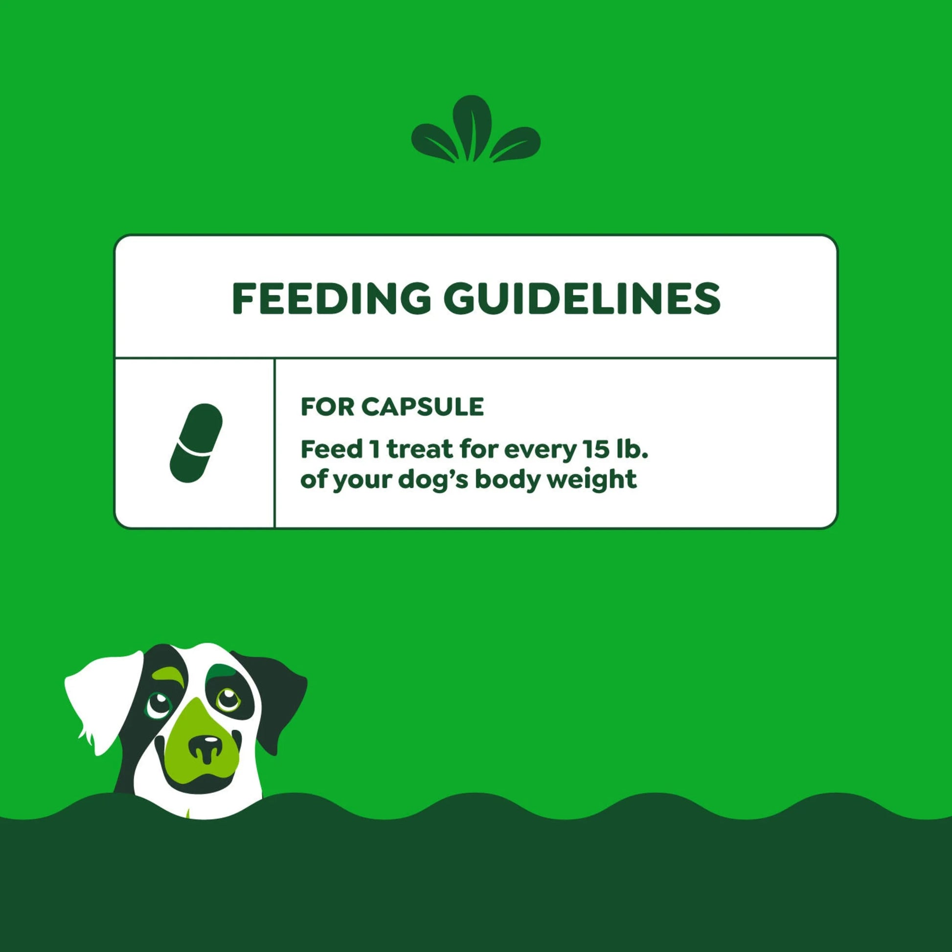 Pill Pockets for Dogs Peanut Butter Large, Capsule Size Soft Dog Treats, 7.9 Oz, (30 Pk)