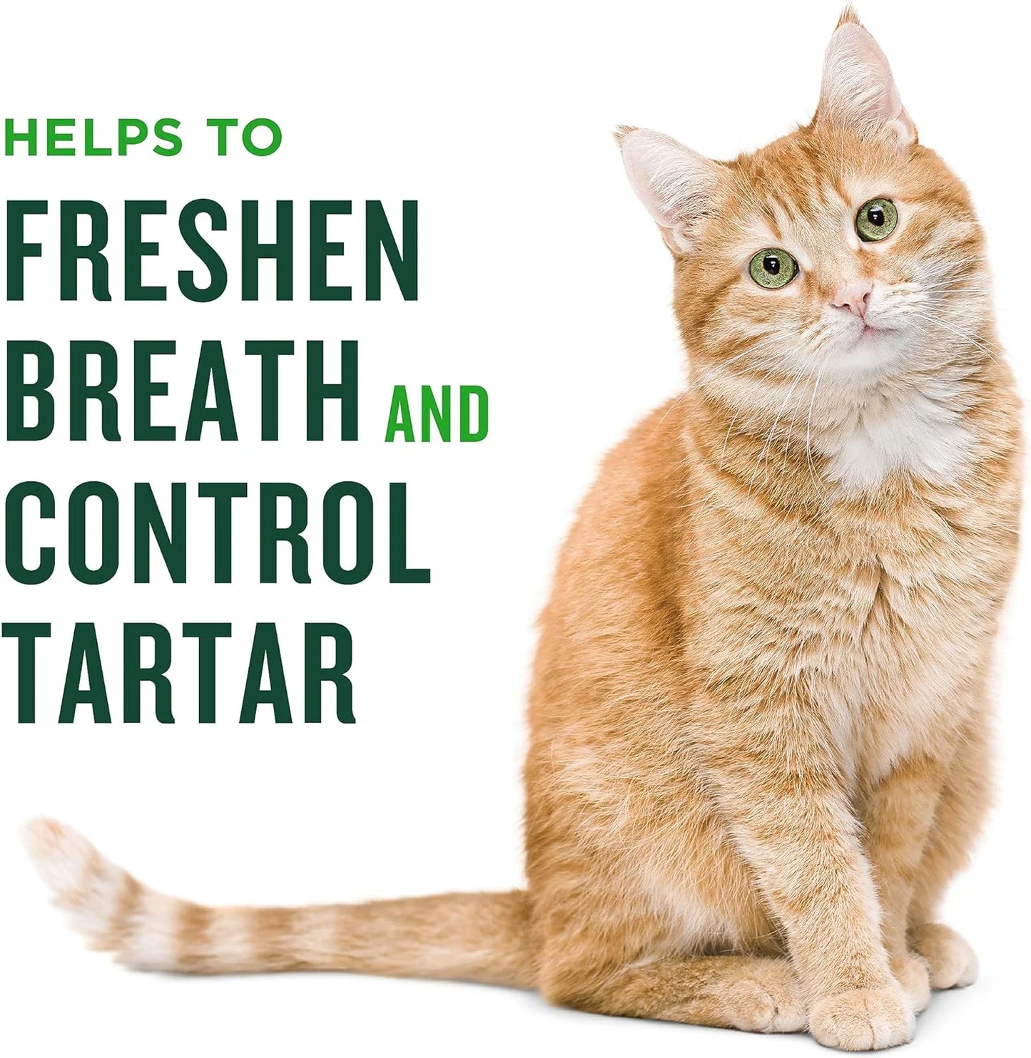Teeth Cleaner Dental Cat Treats, Salmon Flavored, 2.5 Oz