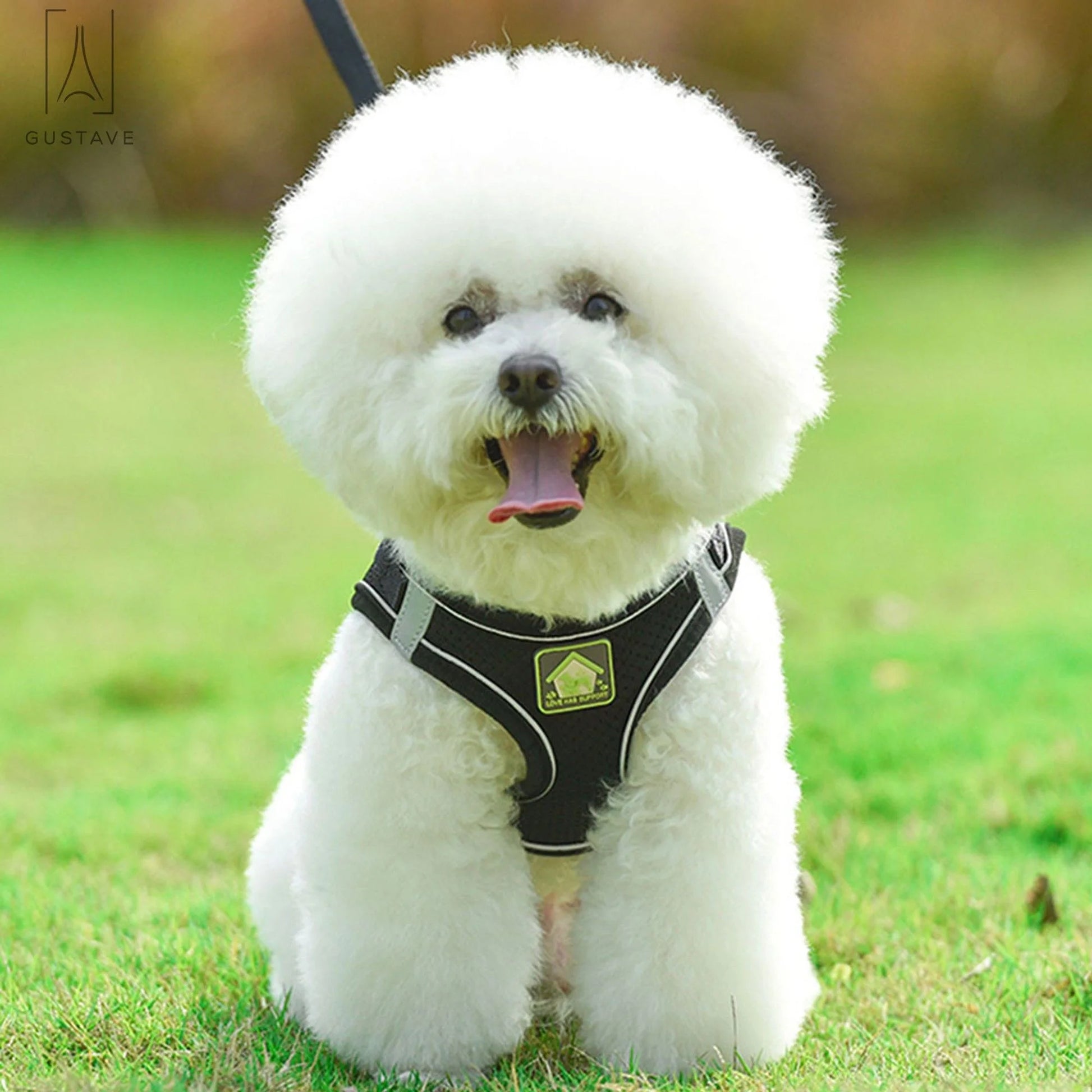 Soft Mesh Pet Dog Harness and Leash Set, No-Pull Pet Harness Adjustable Reflective Breathable Mesh for Small Medium Dogs and Cats (Black, Size S)