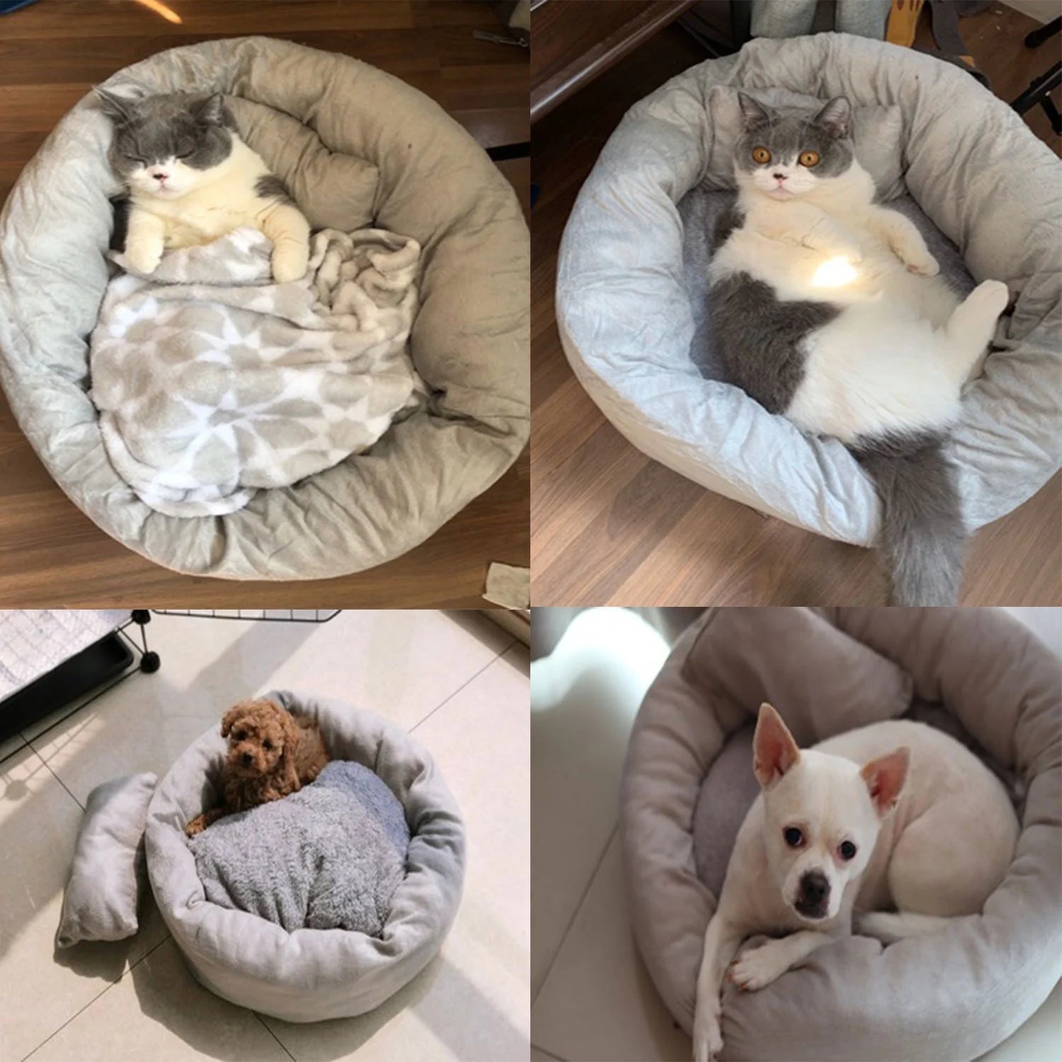 Pet Cat round Bed Dog Cushion Bed Calming Soft Sleeping Bed with Pillow for Small Dog & Indoor Cats
