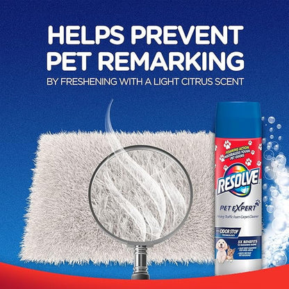 Pet High Traffic Carpet Stain Cleaner Solution and Odor Remover Foam, 22Oz