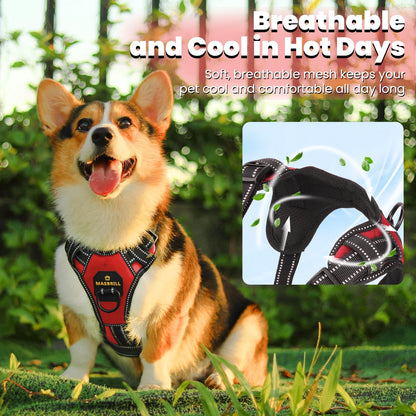 Dog Harness and Leash Set, No Pull Vest Harness, Reflective Adjustable Soft Padded Pet Harness with Handle for Small to Large Dogs