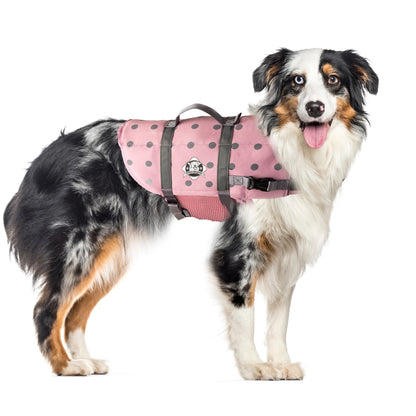 Dog Life Jacket - Keep Your Canine Safe with a Neoprene Life Vest - Designer Life Jackets - Perfect for Swimming and Boating - Pink/Silver, Medium